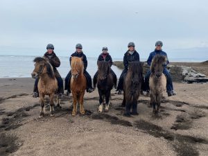 Bakkahestar Horse Riding Tours