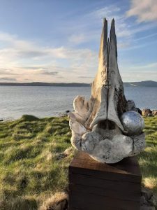 Sauðfjársetur Á Ströndum